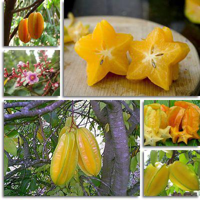 an exotic fruit with an asterisk