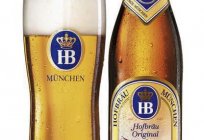 «Хофброй»: bira, ilgili olduğu bütün dünya biliyor