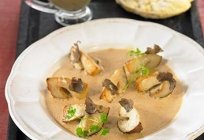 Kulinarische Meisterwerke: wie Kochen die Pilze Steinpilze?