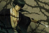 Hijikata Toshiro - der Charakter der Zeichentrickserie Gintama: Beschreibung, Biografie