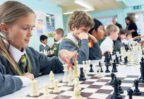 Como ensinar o filho a jogar xadrez? A forma de xadrez. Como jogar xadrez: regras para crianças