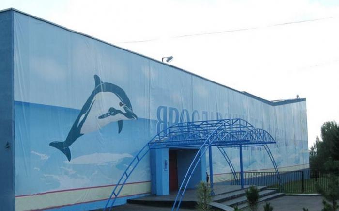 यरोस्लाव Dolphinarium कीमतों