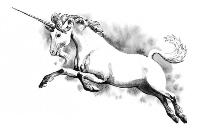 unicorn sembolü kadın
