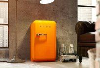 Küçük bir buzdolabı: avantajları, dezavantajları ve uygulama alanı