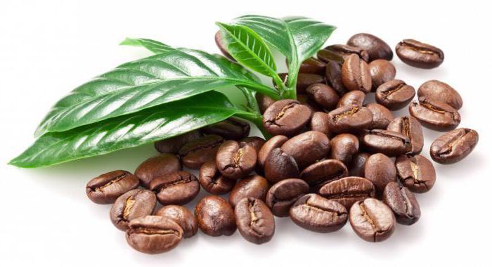 Складу кавового зерна