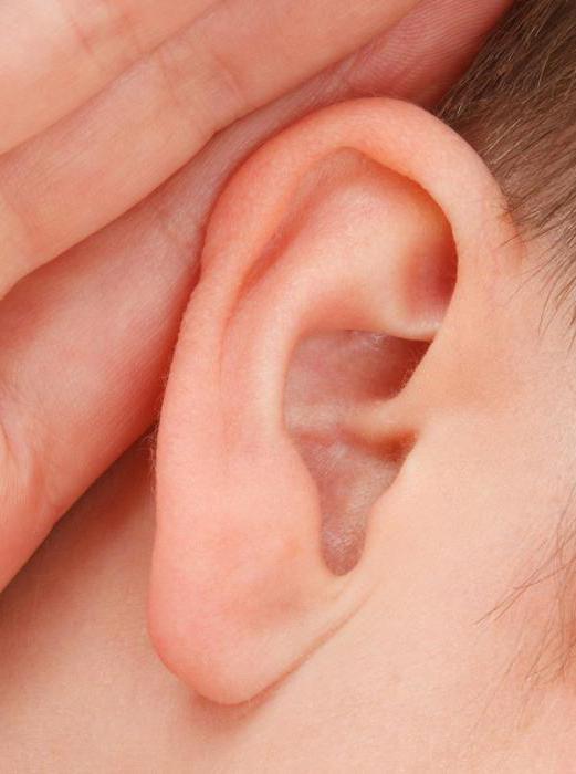 Can I warm the ear with otitis media