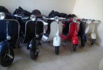How to choose a scooter? Five tips