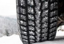 什么冬季的轮胎被更好的：审查产品的制造商名