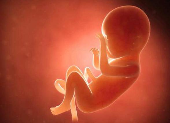 die Untersuchung der Leichen der Neugeborenen