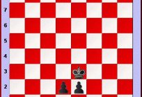 一个死在国际象棋。 是什么将军和如何投票或伴侣？