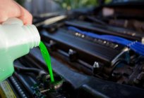 How to drain the coolant: detailed instructions