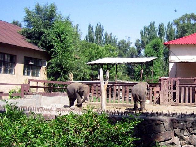 el parque gorki, en la ciudad de almaty zoo