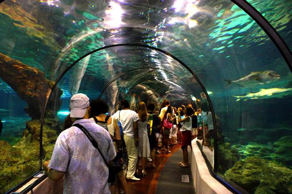 Barcelona aquarium opening hours