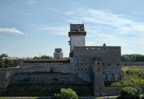 纳尔瓦城堡：该模式的运作和照片
