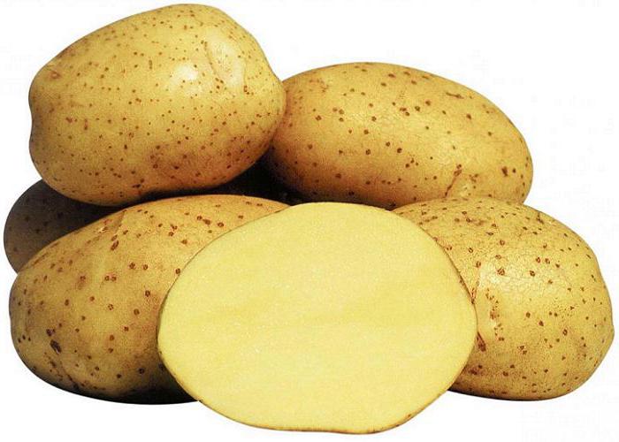里维埃拉的土豆