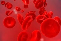 ماذا مرتفعة خلايا الدم الحمراء ، ما ينبغي أن يكون المعيار ؟ 