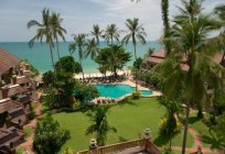 Das Hotel Aloha Resort 3* (Thailand/Insel Samui): Beschreibung, Bewertungen