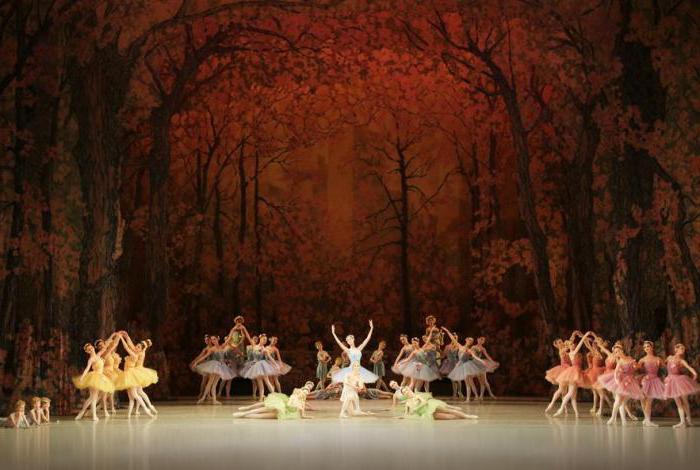 the content of the ballet don Quixote
