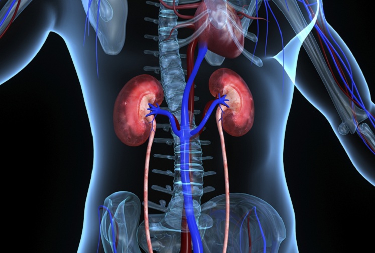 the Signs of kidney disease
