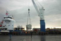 The stevedoring company is a... Definitions, characteristics, special cases