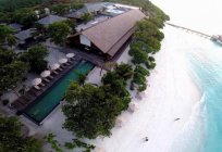 The Barefoot Eco Hotel 4* (Hanimaadhoo, Maldivler) açıklaması: otel, hizmetler, referanslar