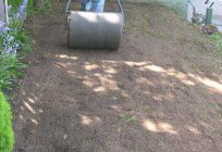 Garden rollers: is it possible to do with your hands?