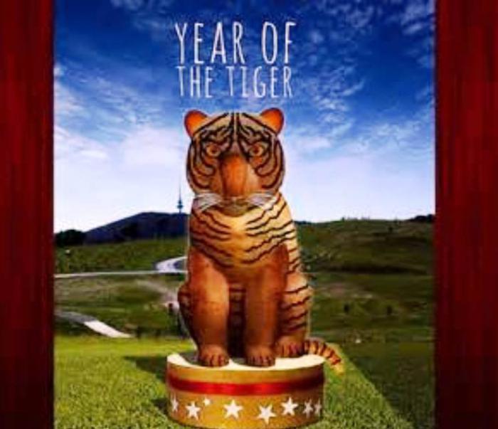 la característica de los nacidos en el año del tigre