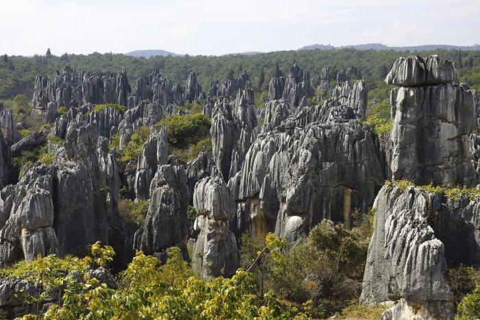floresta de pedra na china