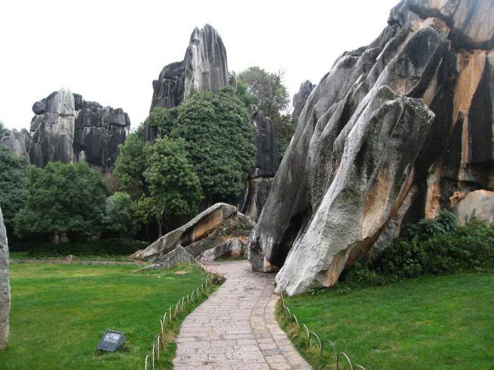 غابة الأحجار الصين عجب مذهلة من الطبيعة