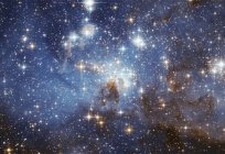 是什么天堂般的机构的所谓的明星在我们的宇宙？
