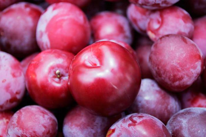 how to make plum plum
