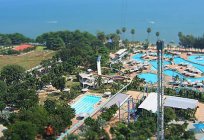 Pattaya Park - popularny park wodny w Pattaya