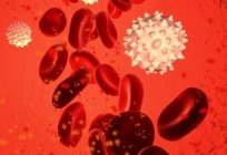 كيفية التبرع بالدم الهرمونات صحيح ؟ 