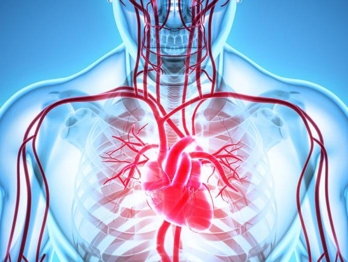 koroner kalp hastalığı tanı tedavi