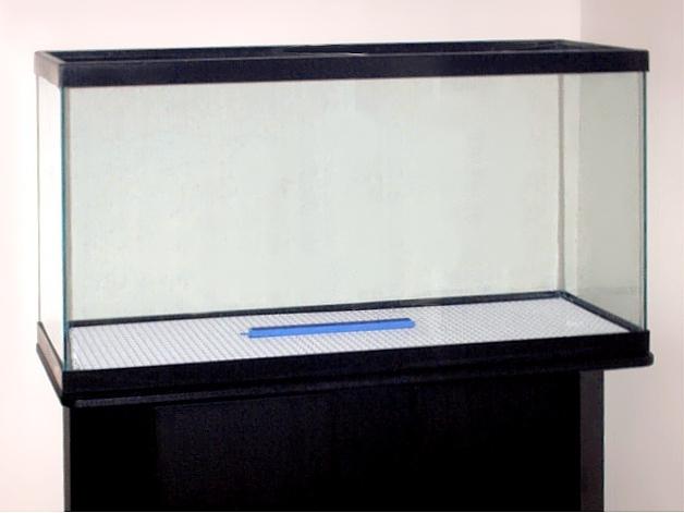 starting the aquarium step-by-step instructions