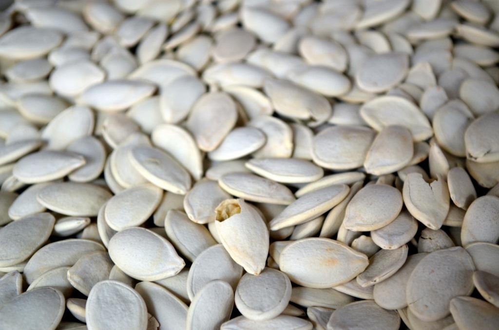 el tostado de las semillas de calabaza beneficio y el daño