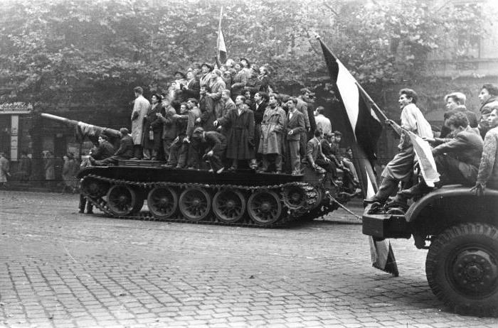 a revolta Húngara de 1956