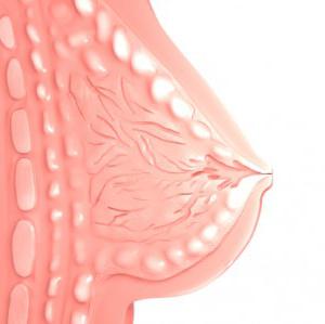 la ingurgitación de las mamas durante el embarazo