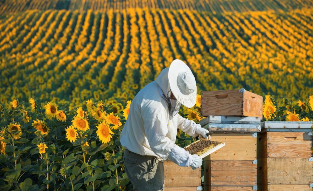المناحل وتربية النحل