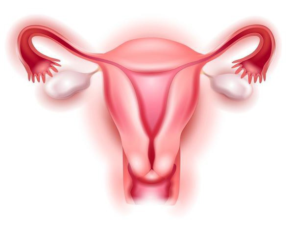 गर्भाशय के आगे को बढ़ाव के जन्म के बाद, लक्षण और उपचार