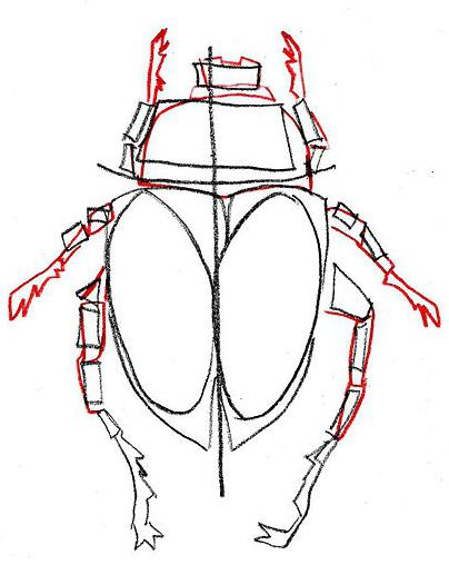 cómo dibujar el escarabajo por etapas