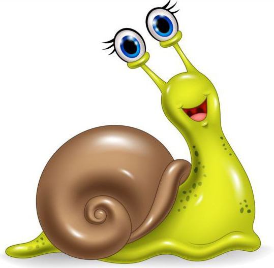 Mystery snail for kids