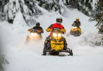 BRP (snowmobile): an overview, features, and repair