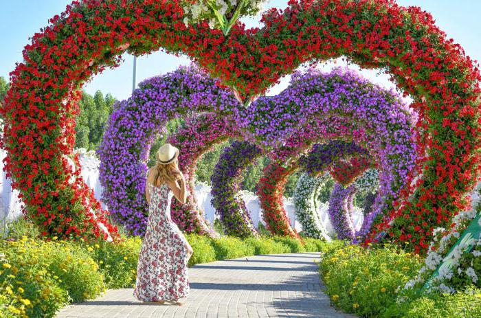 miracle garden Vereinigte Arabische Emirate