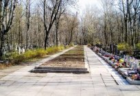 Киновеевское cemitério em São Petersburgo: como chegar, o endereço e o telefone da administração