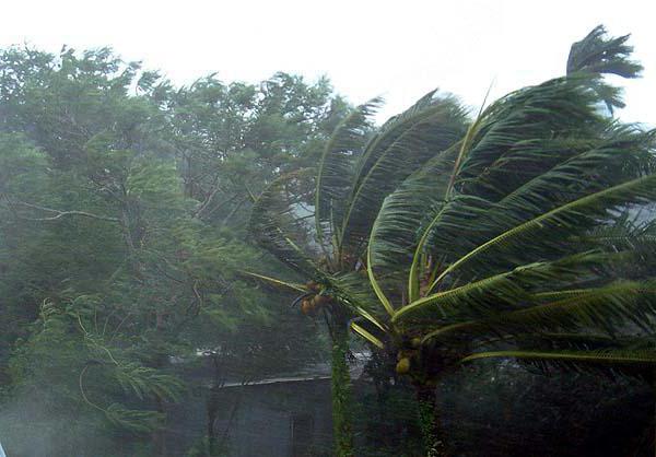 斯里兰卡的天气通过个月的雨季