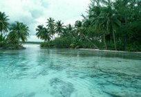 La isla de sri lanka: el tiempo por meses y el clima. Descripción de la naturaleza de la isla y comentarios de los turistas