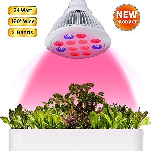 led-Lampe für die Pflanzen