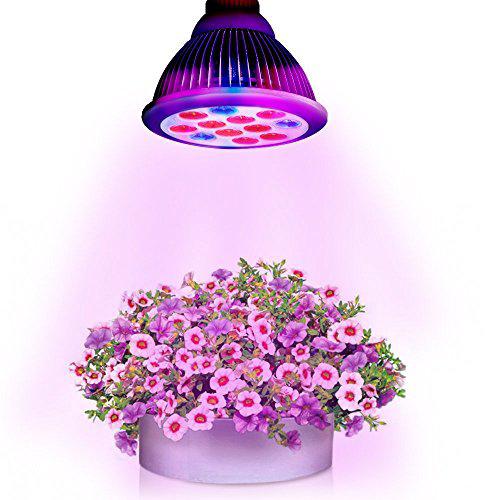 diodo emissor de luz a lâmpada para plantas viajante