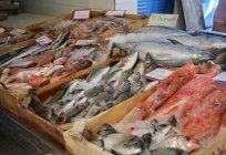 Where's the best fish market in Russia?